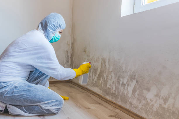 Licensed Mold Removal service in Louisburg, NC - Mold Remediation HQ
