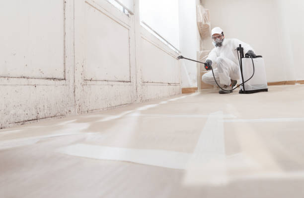 24/7 Emergency Mold Removal experts in Louisburg, NC