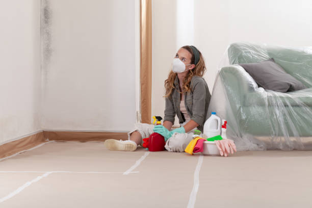 Reliable Mold Removal contractor in Louisburg, NC by Mold Remediation HQ
